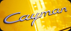 cayman-logo