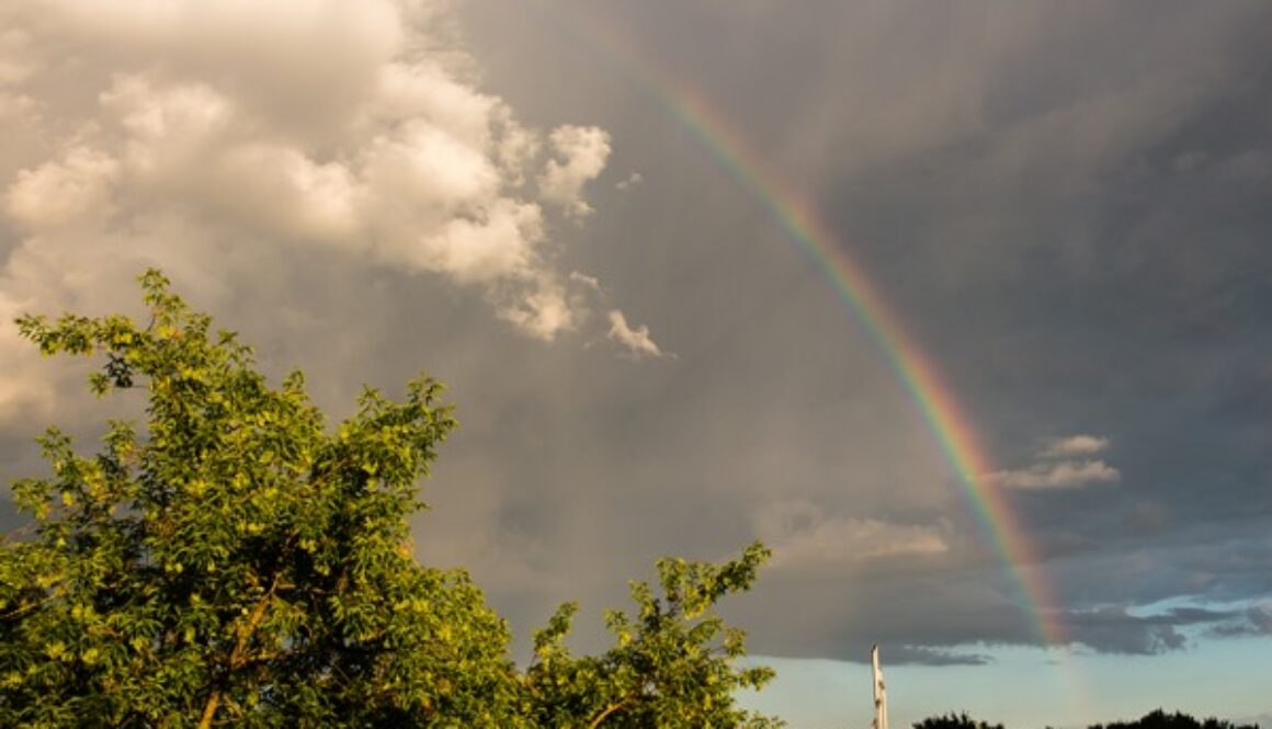 A vibrant rainbow arcs across a partly cloudy sky, contrasting with the dark clouds. Sunlight illuminates the lush green trees in the foreground. In the distance, a tall, narrow structure is visible against the colorful backdrop.