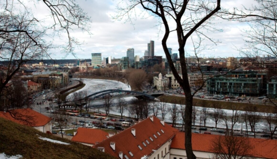 Viļņa